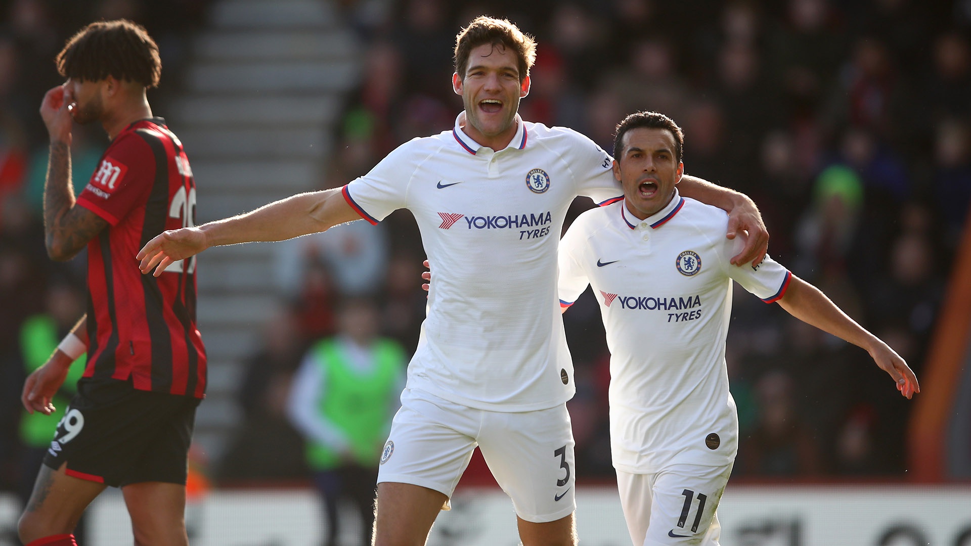 性和草根性 性和草根性